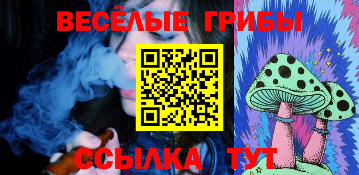 Псилоцибиновые грибы Cubensis Нововоронеж
