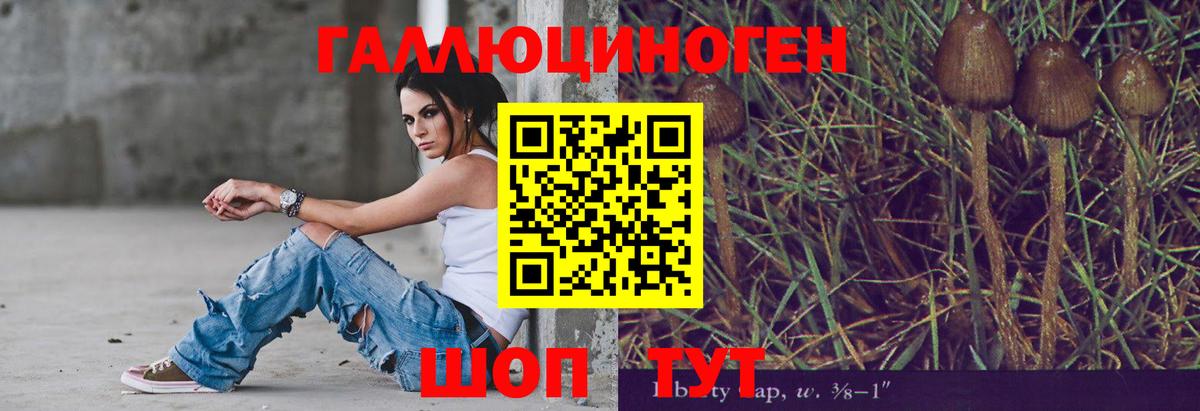Галлюциногенные грибы Psilocybine cubensis  Псилоцибиновые грибы ЛСД  Вход с VPN  Нововоронеж 